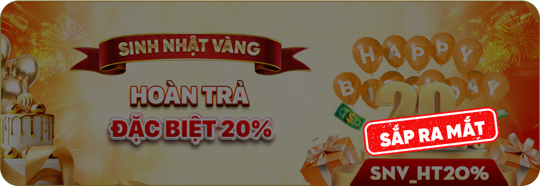 snv ht20